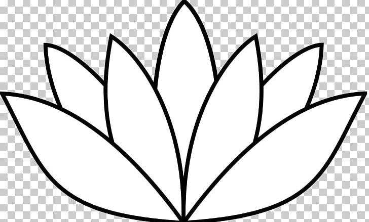 Egyptian Lotus Nymphaea Lotus Nelumbo Nucifera PNG, Clipart, Area, Black And White, Branch, Circle, Drawing Free PNG Download