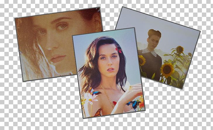 Katy Perry 2015 Square 12x12 Bravado Paper Katy Perry Custom Rectangle Pillowcase Custom Pillow Cases 50cm X 80cm (Two Sides) Synth-pop PNG, Clipart,  Free PNG Download