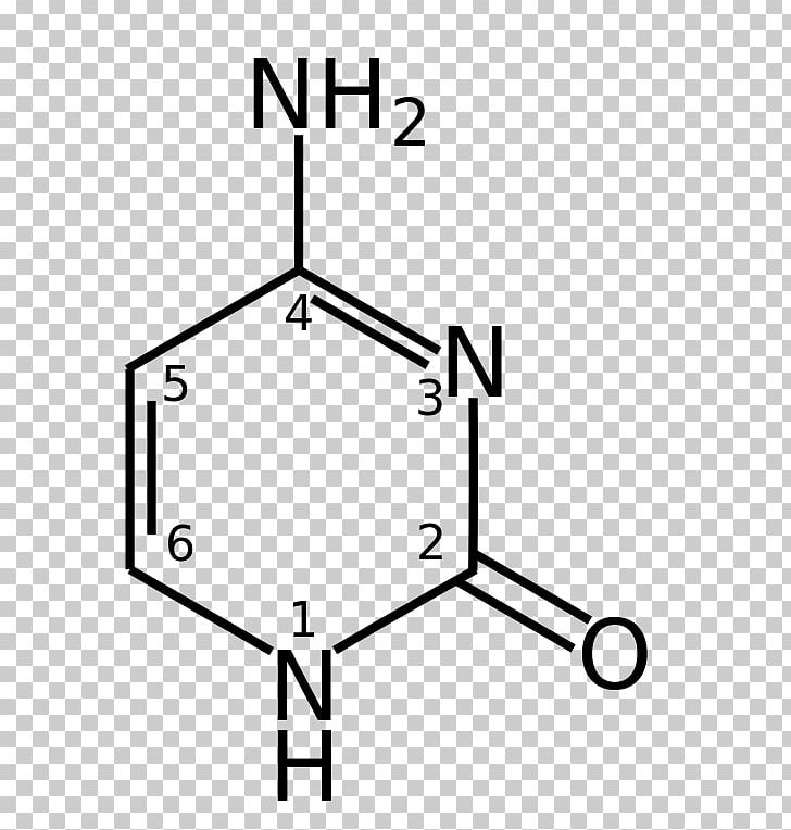 5-Methylcytosine Nucleobase Guanine Thymine PNG, Clipart, 5 Methylcytosine, 5methylcytosine, Adenine, Angle, Area Free PNG Download
