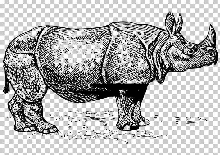 Javan Rhinoceros Horn Black Rhinoceros PNG, Clipart, Animal, Black And White, Black Rhinoceros, Cattle Like Mammal, Computer Icons Free PNG Download
