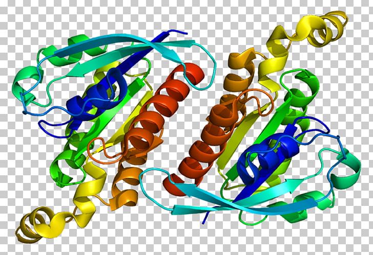 Rho Family Of GTPases G Protein Guanine Nucleotide Exchange Factor PNG, Clipart, Actin, Body Jewelry, Cell Signaling, Cytoskeleton, Gene Free PNG Download