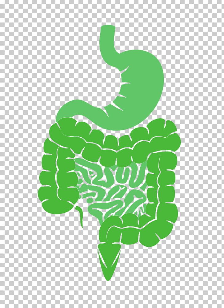 Village Naturopathic Clinic Health Gastrointestinal Tract Dietary Supplement Large Intestine PNG, Clipart, Dietary Supplement, Elimination Diet, Finger, Food, Food Intolerance Free PNG Download