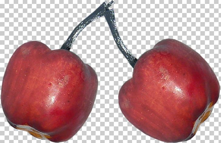 Apple Red PNG, Clipart, Accessory Fruit, Apple, Apple Fruit, Auglis, Christmas Decoration Free PNG Download