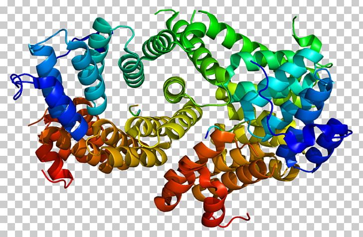 PEX5 Peroxisome Protein PEX12 Gene PNG, Clipart, Art, Cell, Gene, Messenger Rna, Organism Free PNG Download