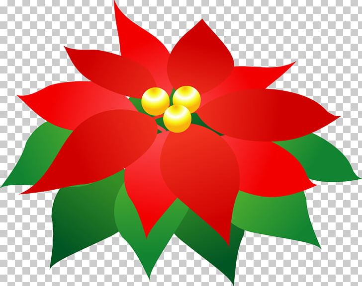 Red Poinsettia Green PNG, Clipart, Color, Color Scheme, Complementary Colors, Contrast, Flora Free PNG Download