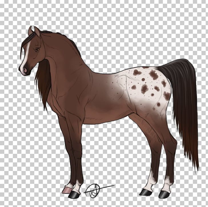 Foal Rein Stallion Mane Mare PNG, Clipart, Animal Figure, Bit, Bridle, Colt, Foal Free PNG Download