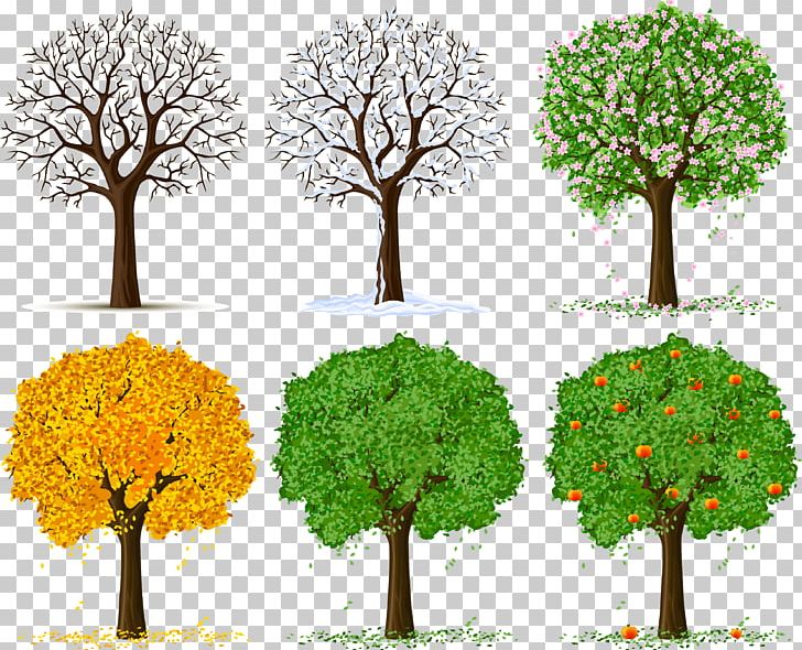 Tree Silhouette PNG, Clipart, Art, Blossom, Branch, Clip Art, Download Free PNG Download