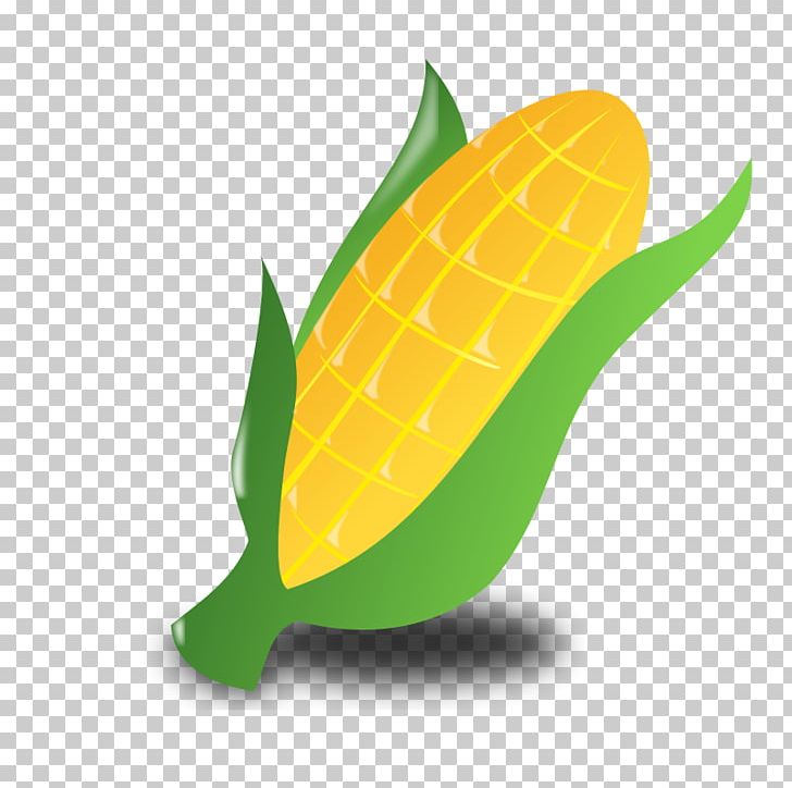 Corn On The Cob Candy Corn Maize Corncob PNG, Clipart, Baby Corn, Candy Corn, Commodity, Corncob, Corn On The Cob Free PNG Download