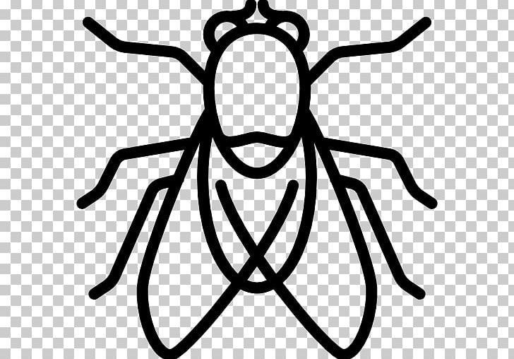 Insect Philosophy Masasa Beach Drawing YouTube PNG, Clipart, Animal, Animals, Artwork, Black, Black And White Free PNG Download