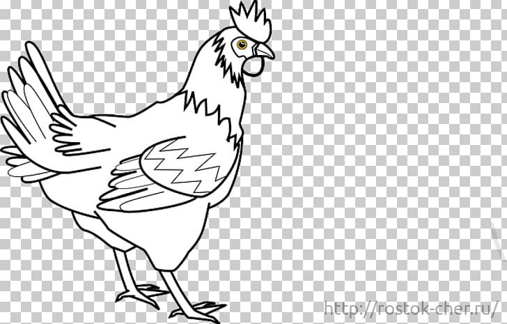 Silkie Rooster Coloring Book PNG, Clipart, Art, Artwork, Beak, Bird, Black And White Free PNG Download