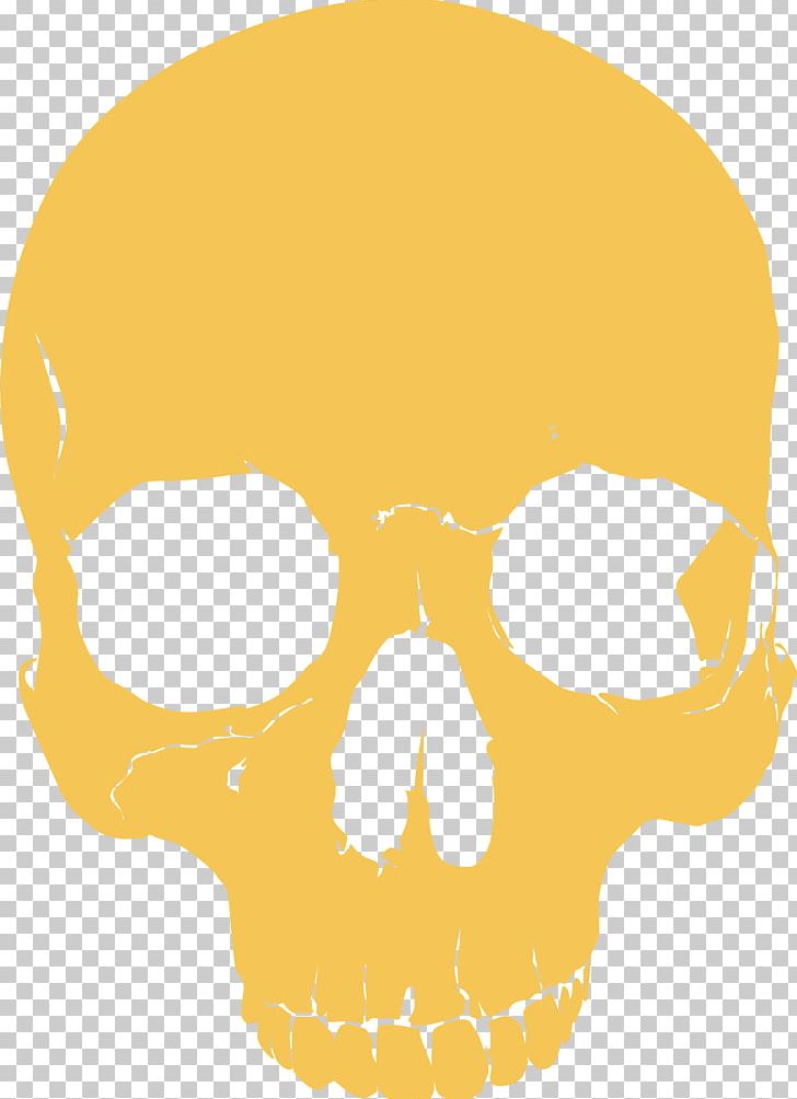 Skull PNG, Clipart, Bone, Custom Graphics, Definition, Head, Polygon Free PNG Download