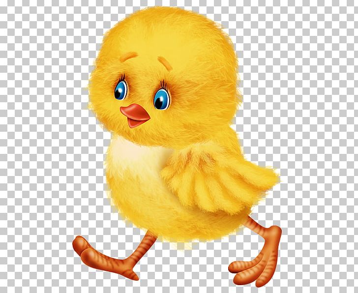 Easter Bunny Duck Chicken Kifaranga PNG, Clipart, Beak, Bird, Chicken, Color, Drawing Free PNG Download