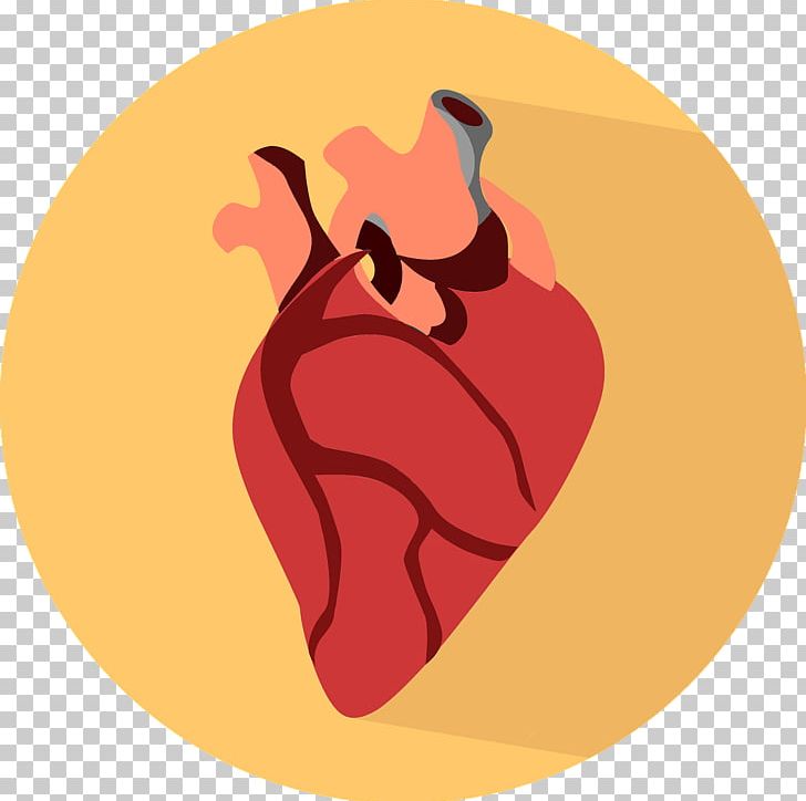 Heart Transplantation Organ Transplantation Human Body PNG, Clipart, Blood, Blood Vessel, Cardiac Surgery, Cardiomyopathy, Computer Wallpaper Free PNG Download