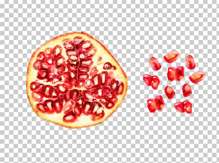 Pomegranate Grapefruit Food Color Scheme PNG, Clipart, Breakfast, Citrus, Color, Color Scheme, Color Wheel Free PNG Download