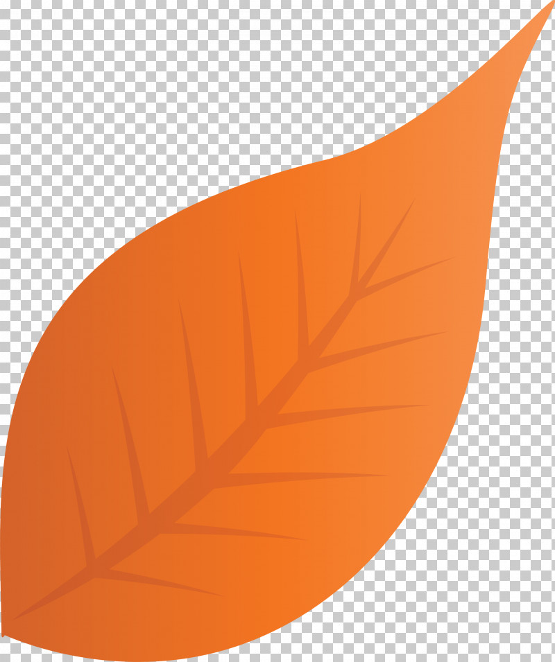 Fall Leaf Autumn Leaf PNG, Clipart, Angle, Autumn Leaf, Biology, Fall Leaf, Leaf Free PNG Download