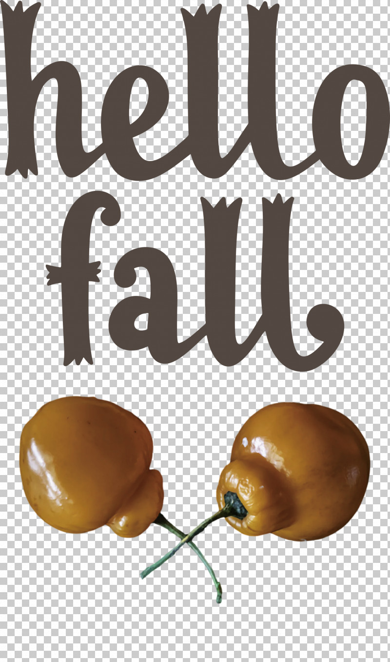 Hello Fall Fall Autumn PNG, Clipart, Autumn, Fall, Hello Fall, Meter Free PNG Download