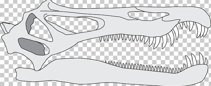 /m/02csf Line Art Fish Product Design Jaw PNG, Clipart, Angle, Artwork, Baryonyx, Black, Black And White Free PNG Download