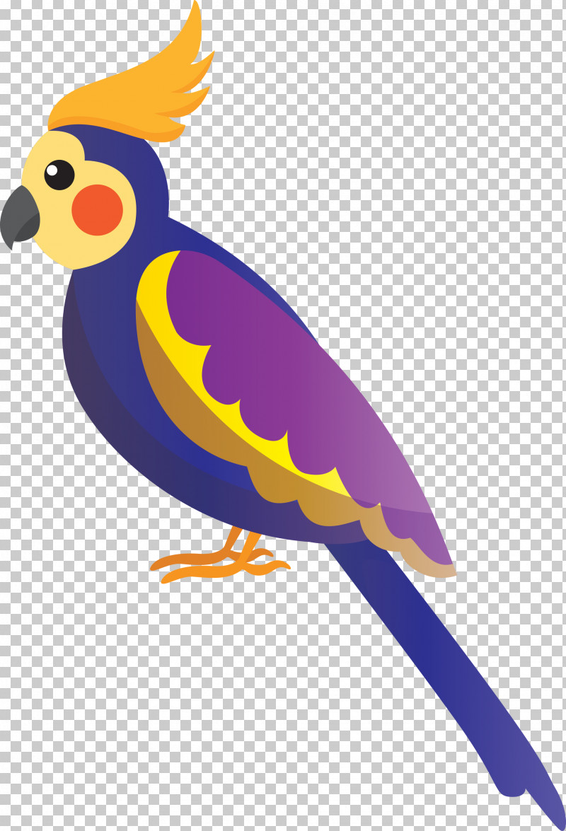 Parrots Chicken Beak Chicken PNG, Clipart, Beak, Bird Cartoon, Chicken, Cute Bird, Parrots Free PNG Download