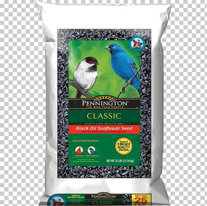 Bird Food Ant Amdro Bait PNG, Clipart, Amdro, Ant, Bait, Bird Food, Bird Supply Free PNG Download