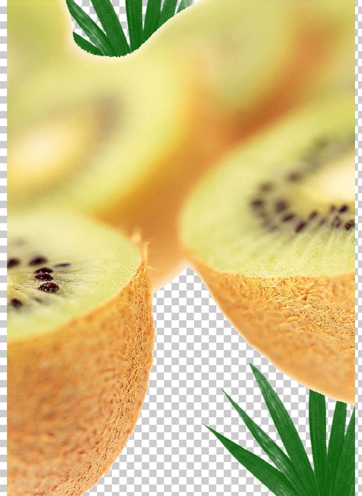 Kiwifruit Auglis PNG, Clipart, 3d Creative Fruit, Apple Fruit, Auglis, Cre, Creative Background Free PNG Download