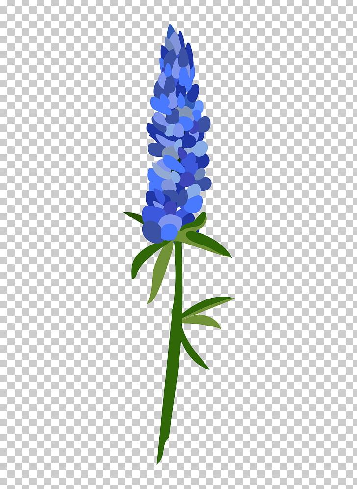 Cut Flowers Plant Stem Leaf Petal Hyacinth PNG, Clipart, Bluebonnet, Cobalt Blue, Conifer, Cut Flowers, Flora Free PNG Download