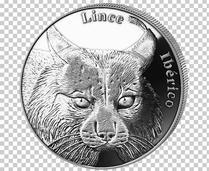 Euro Coins Iberian Peninsula Whiskers Iberian Lynx PNG, Clipart, Big Cats, Black And White, Carnivoran, Cat, Cat Like Mammal Free PNG Download