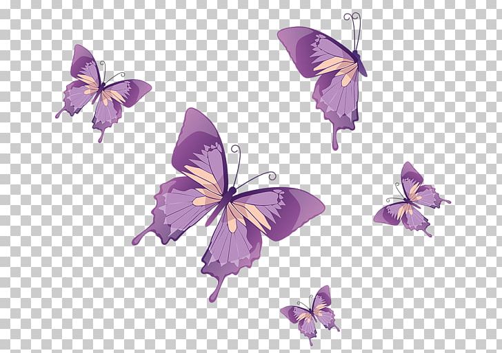 Monarch Butterfly PNG, Clipart, Blue, Brush Footed Butterfly, Butterflies And Moths, Butterfly, Clip Art Free PNG Download