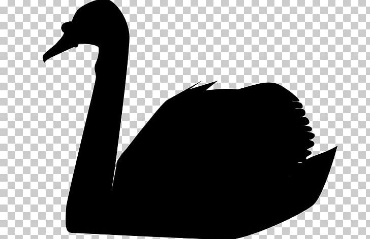 The Black Swan: The Impact Of The Highly Improbable Mute Swan Bird PNG, Clipart, Beak, Bird, Black And White, Black Swan, Black Swan Theory Free PNG Download