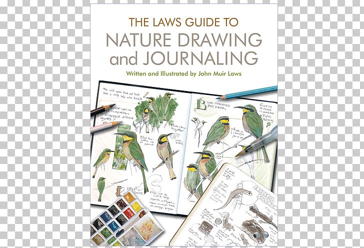 The Laws Guide To Nature Drawing And Journaling The Laws Sketchbook For Nature Journaling Paperback PNG, Clipart, Art, Author, Bird, Book, Book Cover Free PNG Download