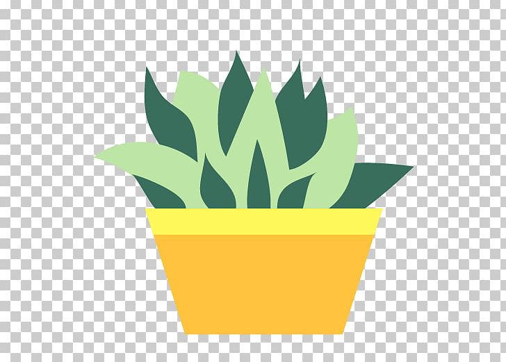 Barbary Fig Cactaceae Echinopsis Oxygona Aloe PNG, Clipart, Cactus, Cactus Cartoon, Cactus Flower, Cactus Vector, Cactus Watercolor Free PNG Download