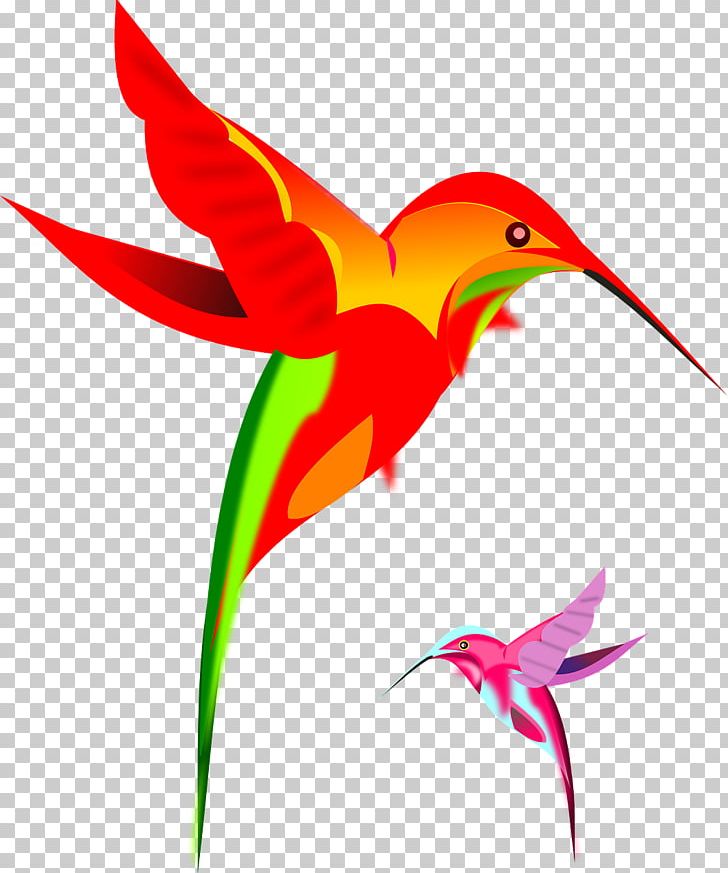 Hummingbird PNG, Clipart, Animals, Art, Artwork, Beak, Bird Free PNG Download