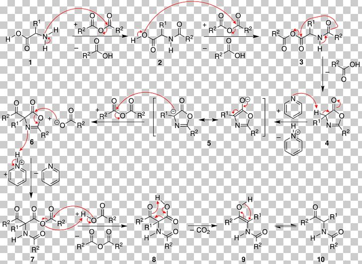 Dakin–West Reaction Acetylation Acylation Acetic Anhydride Reaction Mechanism PNG, Clipart, Acetic Anhydride, Acetylation, Activation, Acylation, Amino Acid Free PNG Download