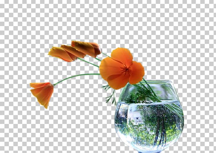 Flower Euclidean PNG, Clipart, Artificial, Computer Wallpaper, Crafts, Flower, Flower Arrangement Free PNG Download