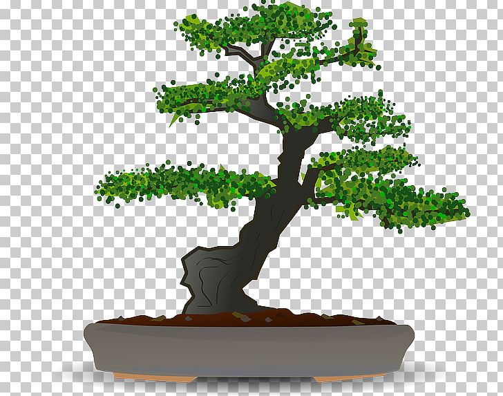 Bonsai Sageretia Theezans Tree PNG, Clipart, Bonsai, Bonsai Tree, Flowerpot, Houseplant, Nature Free PNG Download