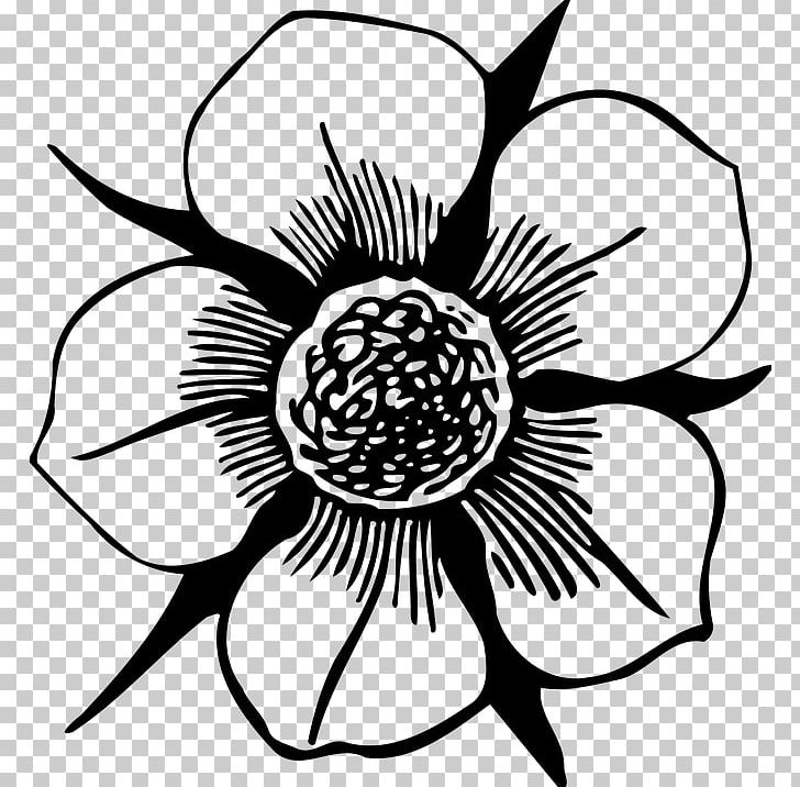 Floral Design Flower Petal PNG, Clipart, Artwork, Black And White, Computer Icons, Cut Flowers, Flora Free PNG Download