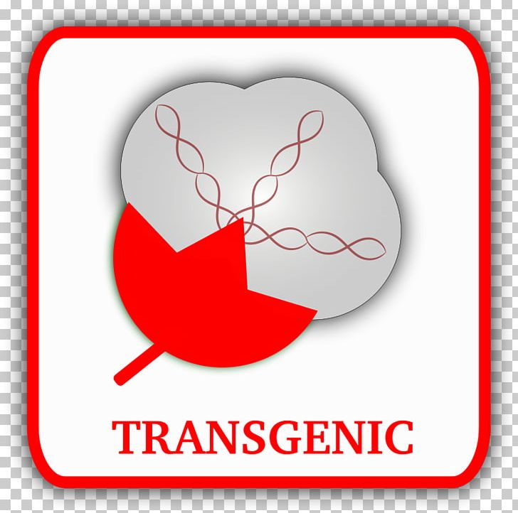 Transgene Genetically Modified Organism Cotton PNG, Clipart, Area, Bacillus Thuringiensis, Biology, Brand, Computer Icons Free PNG Download