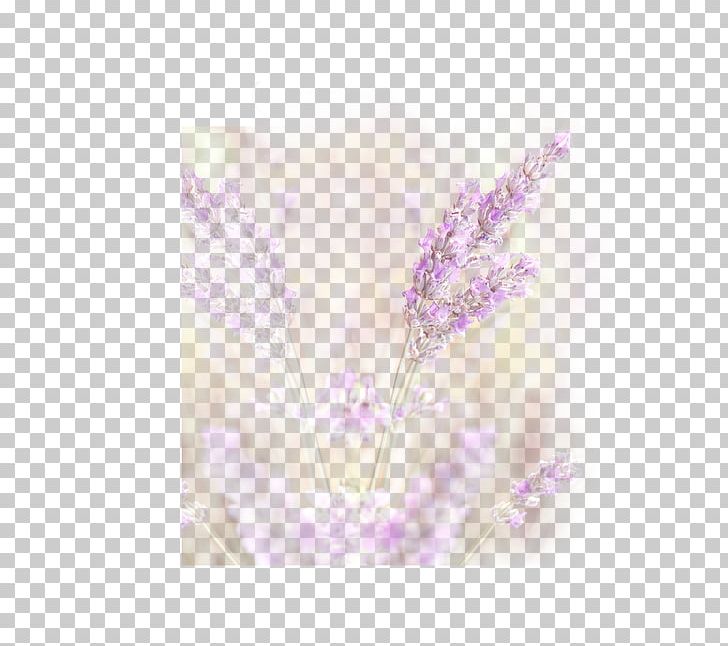 Lavender Petal PNG, Clipart, Art, Flower, Food, Lavender, Lilac Free PNG Download