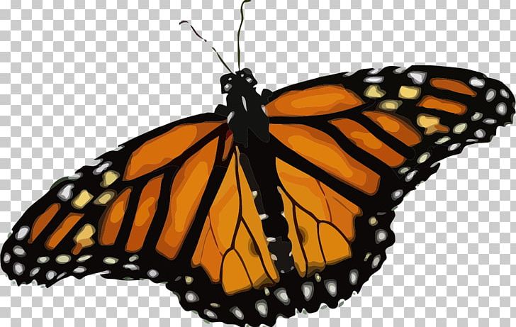 Monarch Butterfly T-shirt Insect PNG, Clipart, Animals, Arthropod, Brush Footed Butterfly, Butterfly, Butterfly Weed Free PNG Download