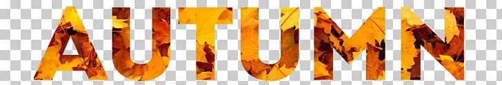 Text Autumn Fall Leaf Project PNG, Clipart, Autumn, Autumn Leaf Color, Color, Computer Wallpaper, Desktop Wallpaper Free PNG Download