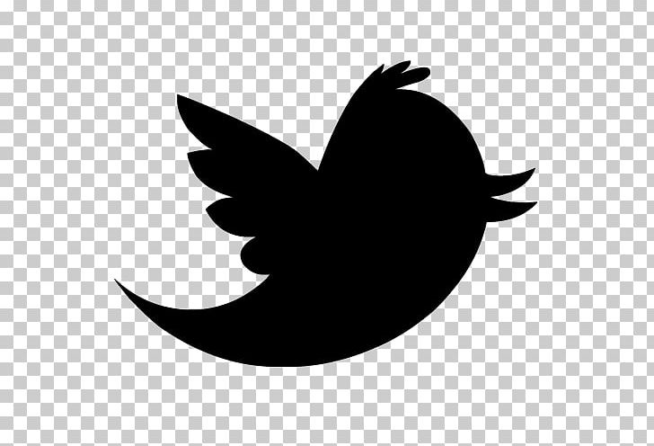 Bird Logo Euclidean Icon PNG, Clipart, Background, Beak, Bird, Black And White, Blog Free PNG Download