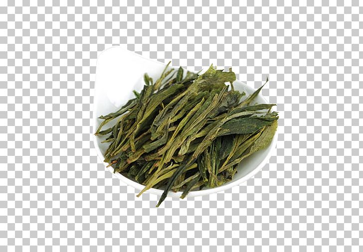 Nilgiri Tea Gyokuro Taiping Houkui Bai Mudan PNG, Clipart, Culture, Fall Leaves, Glass, Glass Cup, Green Tea Free PNG Download