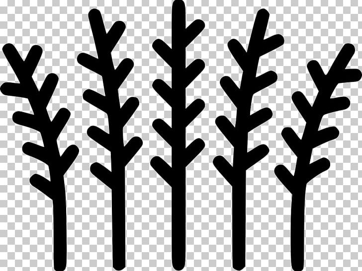 Icon Design Computer Icons Graphic Design Paradise Apple PNG, Clipart, Apple, Auglis, Black And White, Branch, Computer Icons Free PNG Download