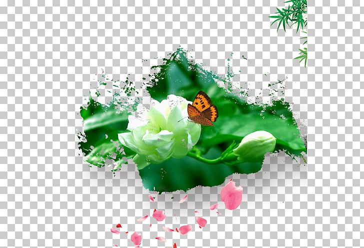 Mo Li Hua PNG, Clipart, Computer Wallpaper, Designer, Download, Flora, Flower Free PNG Download