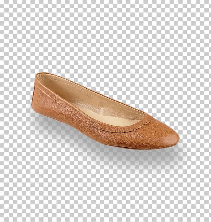 Ballet Flat PNG, Clipart,  Free PNG Download