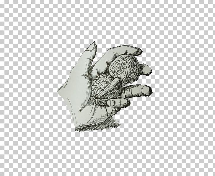 Sketch PNG, Clipart, Arm, Artwork, Bird, Black And White, Chef Hat Free PNG Download
