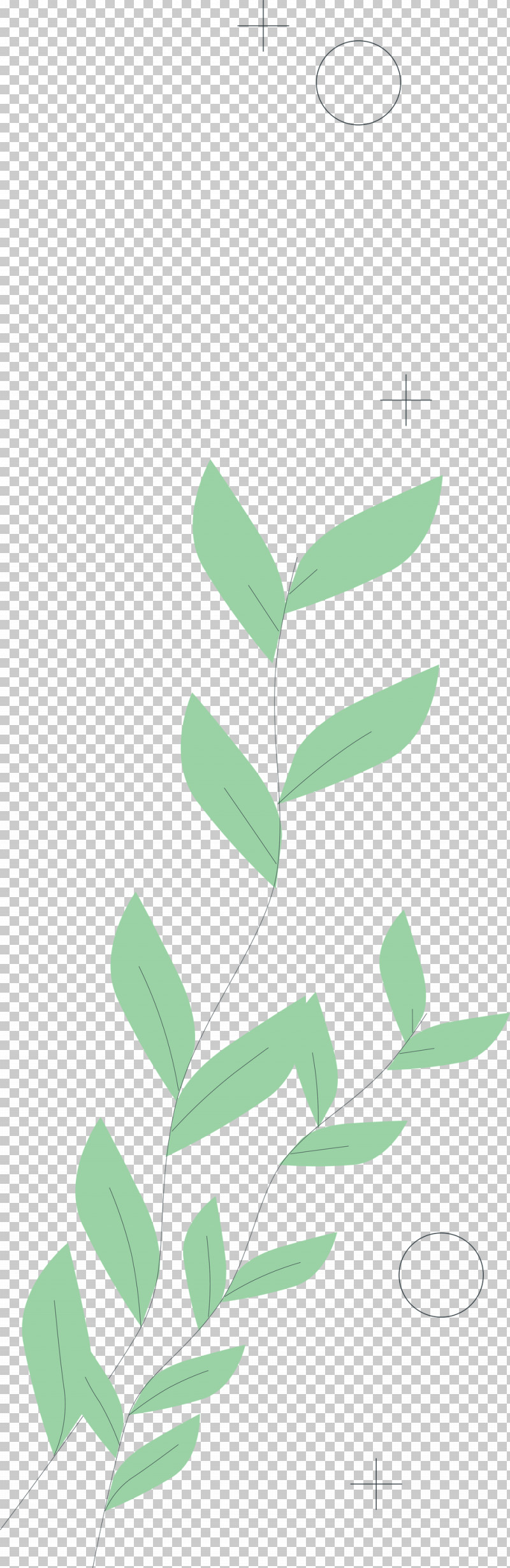 Petal Plant Stem Leaf Green Pattern PNG, Clipart, Angle, Green, Leaf, Line, Meter Free PNG Download