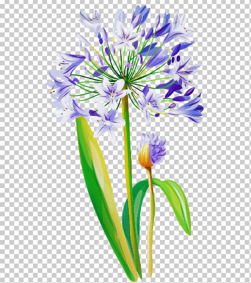 Flower Plant Purple Petal Cut Flowers PNG, Clipart, Cut Flowers, Drawing Flower, Floral Drawing, Flower, Perennial Plant Free PNG Download