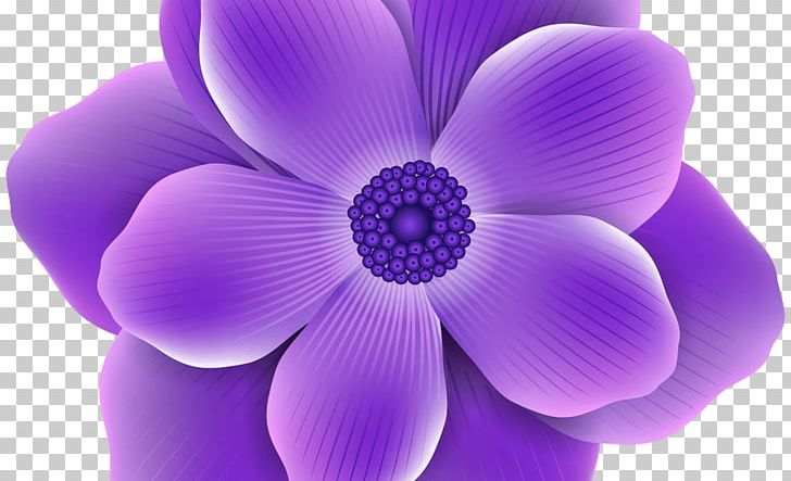 Flower Purple Lavender PNG, Clipart, Anemone, Color, Desktop Wallpaper, Floral Design, Flower Free PNG Download