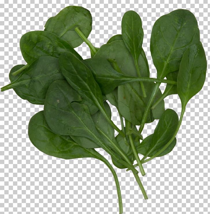 Smoothie Spinach Leaf Vegetable Food Komatsuna PNG, Clipart, Blueberry, Chard, Choy Sum, Food, Herb Free PNG Download