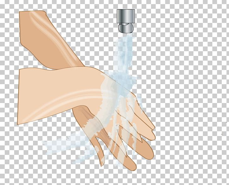 Thumb Hand Model Glove PNG, Clipart, Arm, Finger, Glove, Hand, Hand Model Free PNG Download